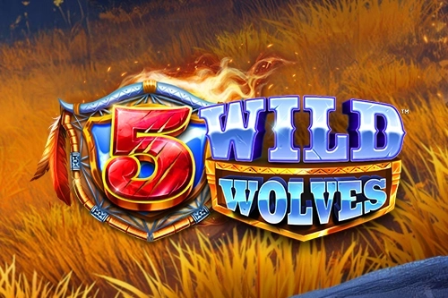 5 Wilde Wölfe