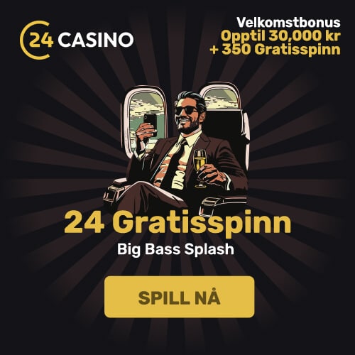 Zamsino Norge HodeBanner