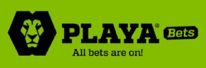 playabets casino logo